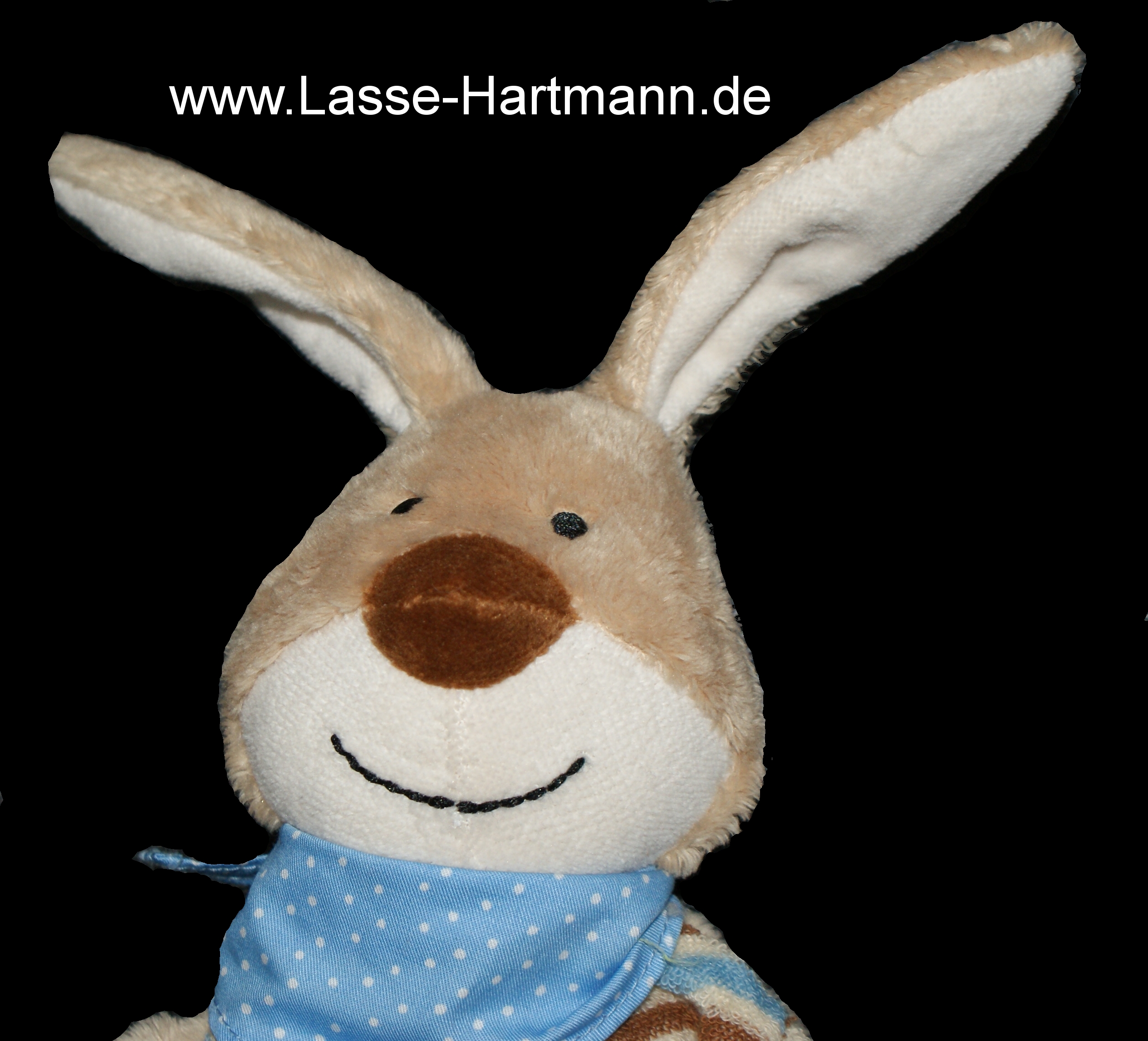www.lasse-hartmann.de